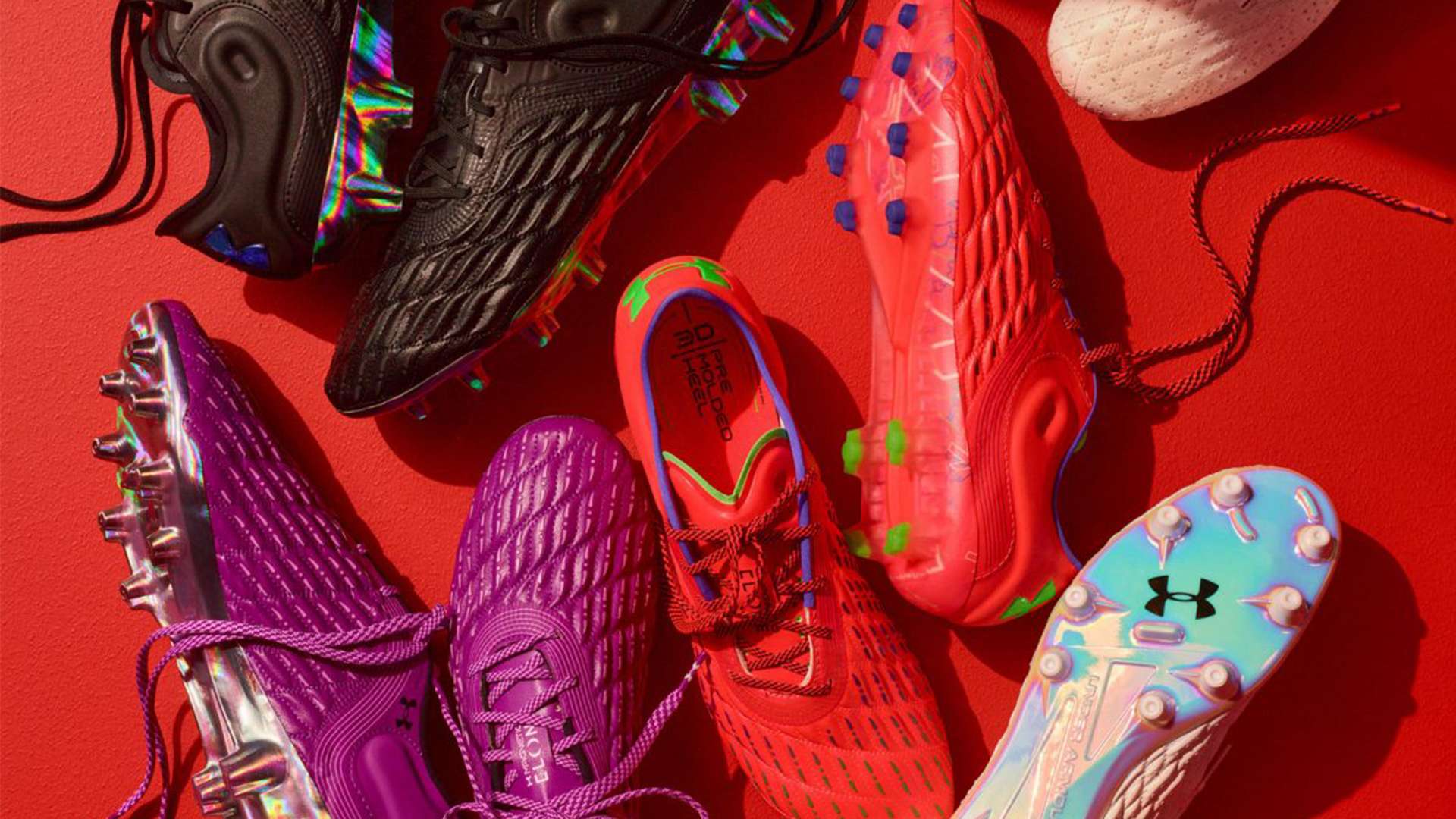 場內維斯 場內維斯