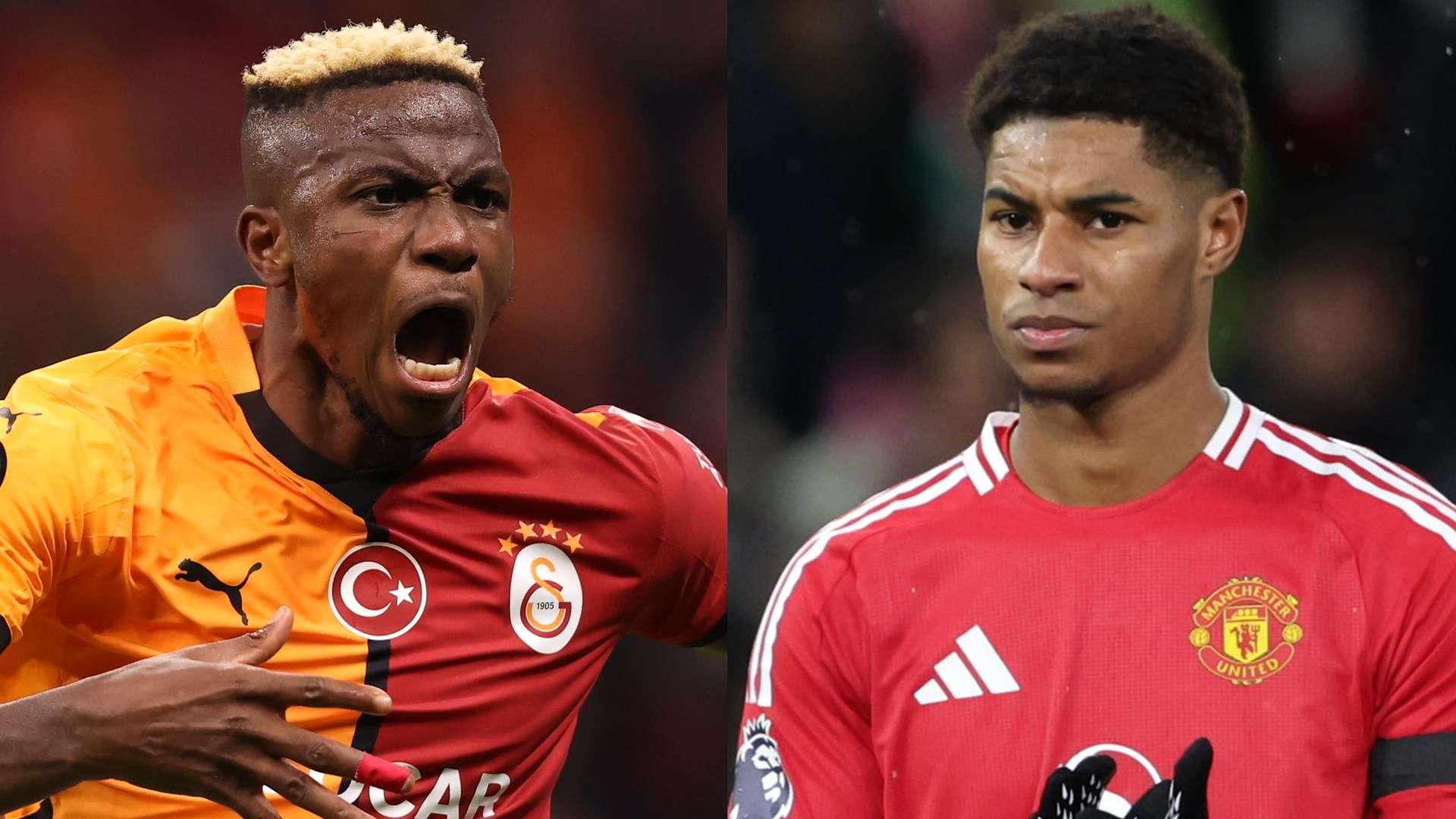 他们在球场 他们在球场