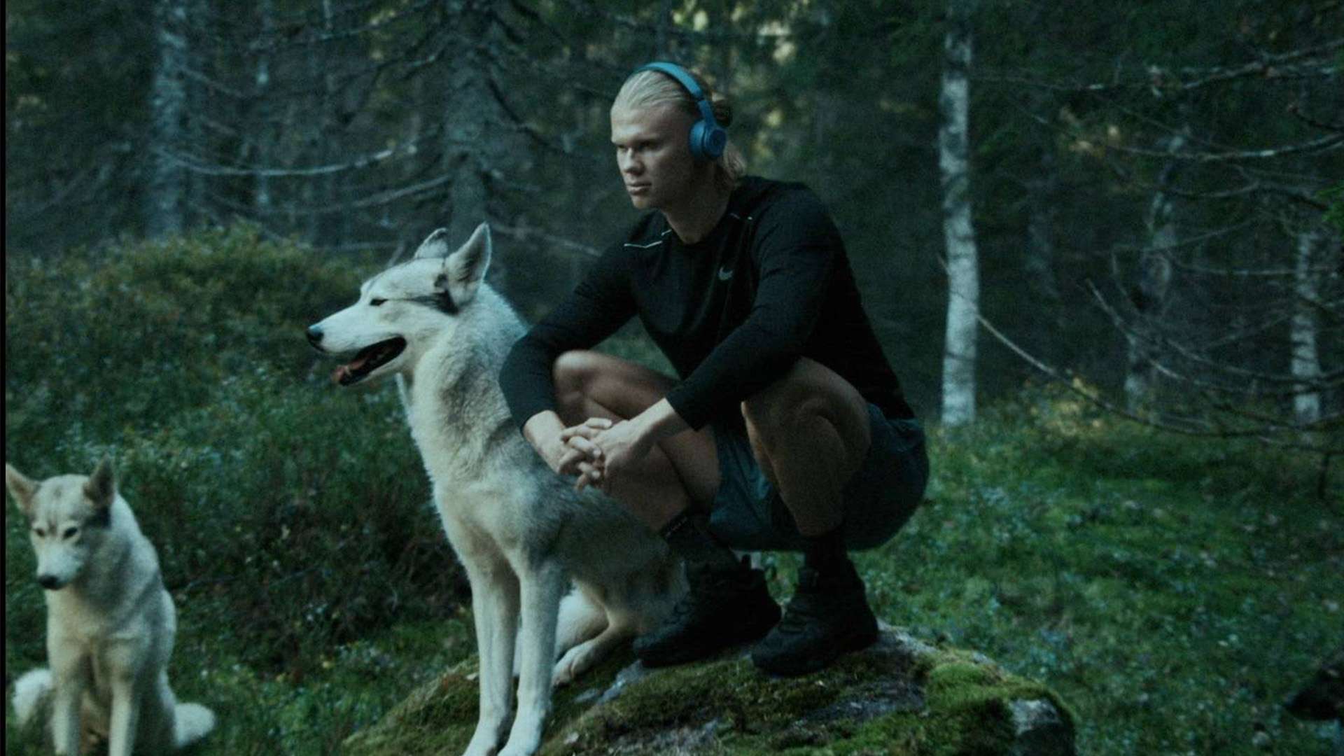 数据与表现 数据与表现